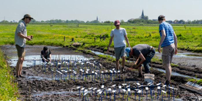 Afbeelding Duurzaamheid en Biodiversiteit