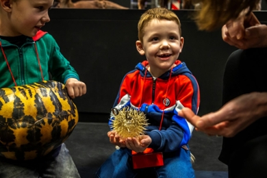 Een jongetje houdt een object in zijn hand en kijkt vol ontzag op