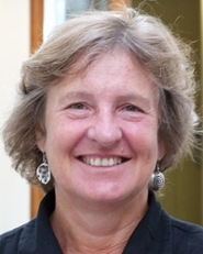 Annelou van Gijn, hoogleraar Archaeological Material Culture and Artefact Studies, leidt het project waarbij een steentijdhuis is nagebouwd met enkel prehistorische werktuigen.